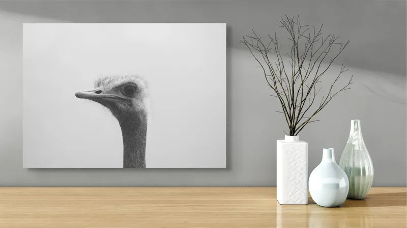 Tablou Canvas, "Privirea enigmatică a struțului curios", Pasăre, Struț, Monocrom, Profil, Blană, Privire, Cer, Contrast., 70 x 50 cm – poza 3