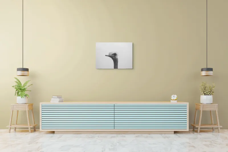 Tablou Canvas, "Privirea enigmatică a struțului curios", Pasăre, Struț, Monocrom, Profil, Blană, Privire, Cer, Contrast., 70 x 50 cm – poza 7