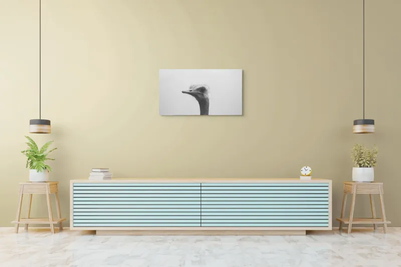 Tablou Canvas, "Privirea enigmatică a struțului curios", Pasăre, Struț, Monocrom, Profil, Blană, Privire, Cer, Contrast., 90 x 50 cm – poza 5