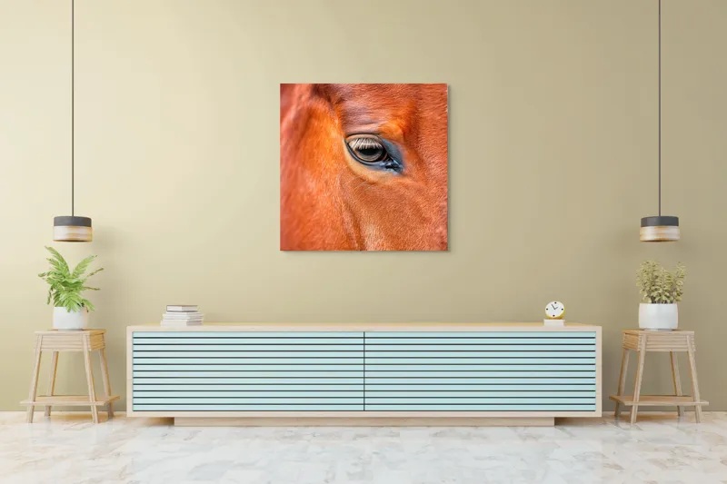 Tablou Canvas, "Privirea enigmatică a calului nobil", Calm, Ochii, Blândețe, Reflexie, Culoare, Textură, Eleganță, Vibrant., 100 x 100 cm – poza 5