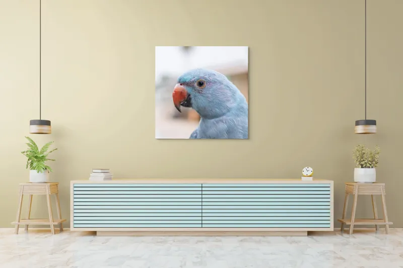 Tablou Canvas, "Papagalul albastru în lumina dimineții", Pasăre, Albastră, Cioc, Ochi, Penaj, Zâmbitoare, Aproape, Colorată, 100 x 100 cm – poza 5