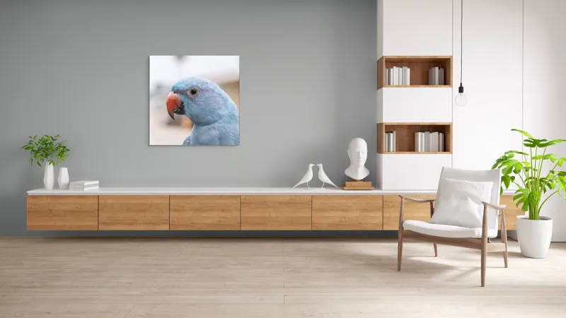 Tablou Canvas, "Papagalul albastru în lumina dimineții", Pasăre, Albastră, Cioc, Ochi, Penaj, Zâmbitoare, Aproape, Colorată, 100 x 100 cm – poza 8