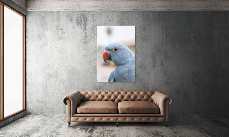 Tablou Canvas, "Papagalul albastru în lumina dimineții", Pasăre, Albastră, Cioc, Ochi, Penaj, Zâmbitoare, Aproape, Colorată, 100 x 150 cm – poza 6