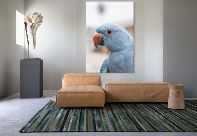 Tablou Canvas, "Papagalul albastru în lumina dimineții", Pasăre, Albastră, Cioc, Ochi, Penaj, Zâmbitoare, Aproape, Colorată, 100 x 150 cm – poza 7