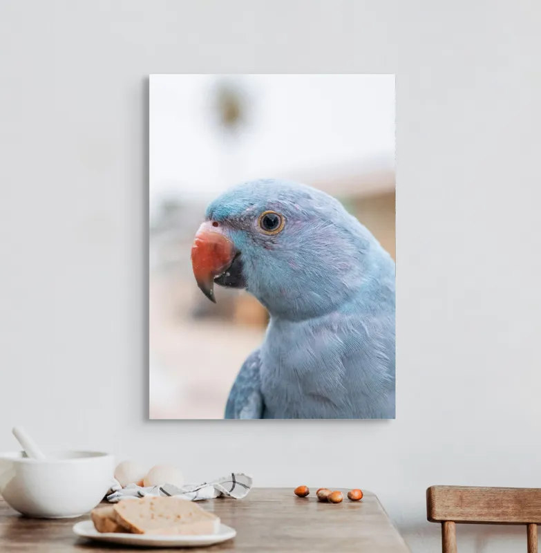 Tablou Canvas, "Papagalul albastru în lumina dimineții", Pasăre, Albastră, Cioc, Ochi, Penaj, Zâmbitoare, Aproape, Colorată, 50 x 70 cm – poza 3