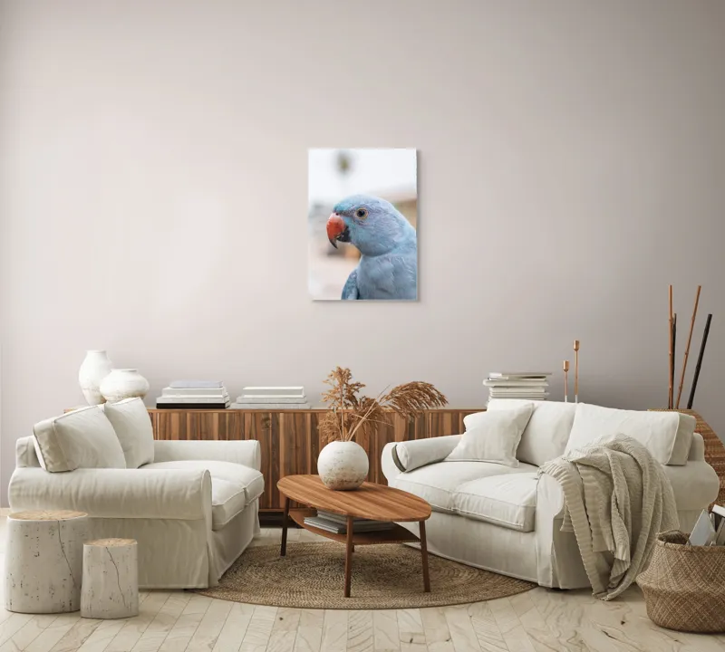Tablou Canvas, "Papagalul albastru în lumina dimineții", Pasăre, Albastră, Cioc, Ochi, Penaj, Zâmbitoare, Aproape, Colorată, 50 x 70 cm – poza 4