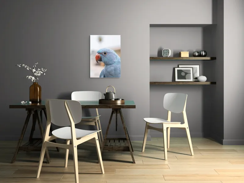 Tablou Canvas, "Papagalul albastru în lumina dimineții", Pasăre, Albastră, Cioc, Ochi, Penaj, Zâmbitoare, Aproape, Colorată, 50 x 70 cm – poza 5