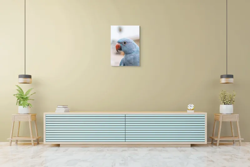 Tablou Canvas, "Papagalul albastru în lumina dimineții", Pasăre, Albastră, Cioc, Ochi, Penaj, Zâmbitoare, Aproape, Colorată, 50 x 70 cm – poza 6