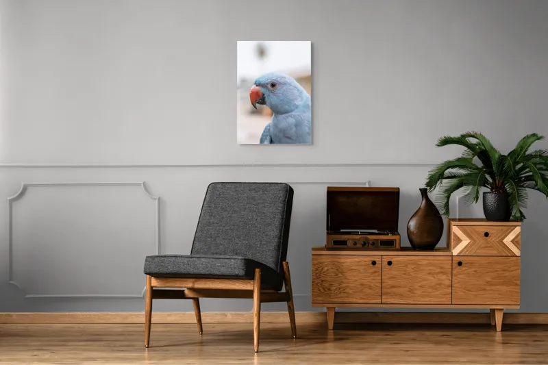 Tablou Canvas, "Papagalul albastru în lumina dimineții", Pasăre, Albastră, Cioc, Ochi, Penaj, Zâmbitoare, Aproape, Colorată, 50 x 70 cm – poza 8