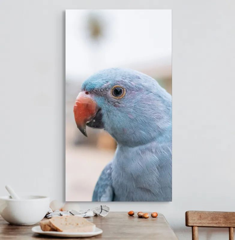 Tablou Canvas, "Papagalul albastru în lumina dimineții", Pasăre, Albastră, Cioc, Ochi, Penaj, Zâmbitoare, Aproape, Colorată, 50 x 90 cm – poza 3