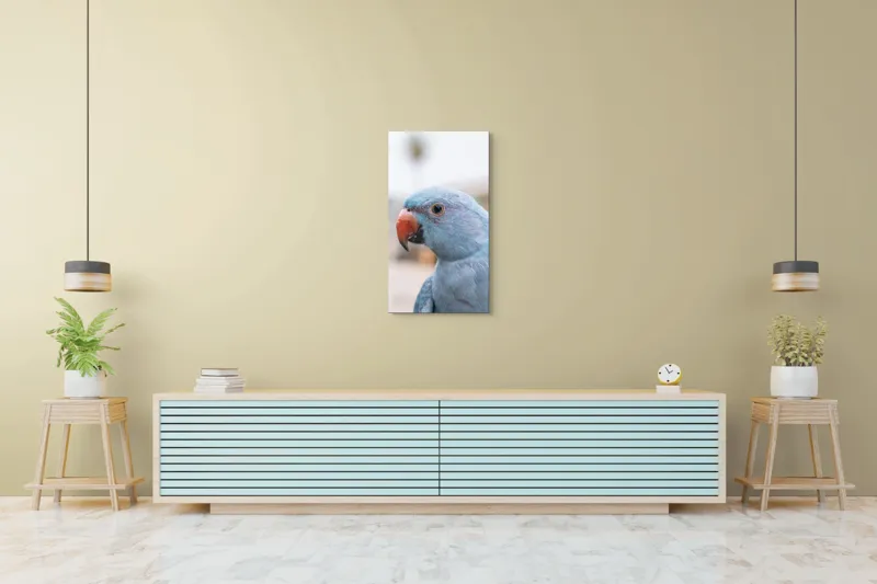 Tablou Canvas, "Papagalul albastru în lumina dimineții", Pasăre, Albastră, Cioc, Ochi, Penaj, Zâmbitoare, Aproape, Colorată, 50 x 90 cm – poza 6