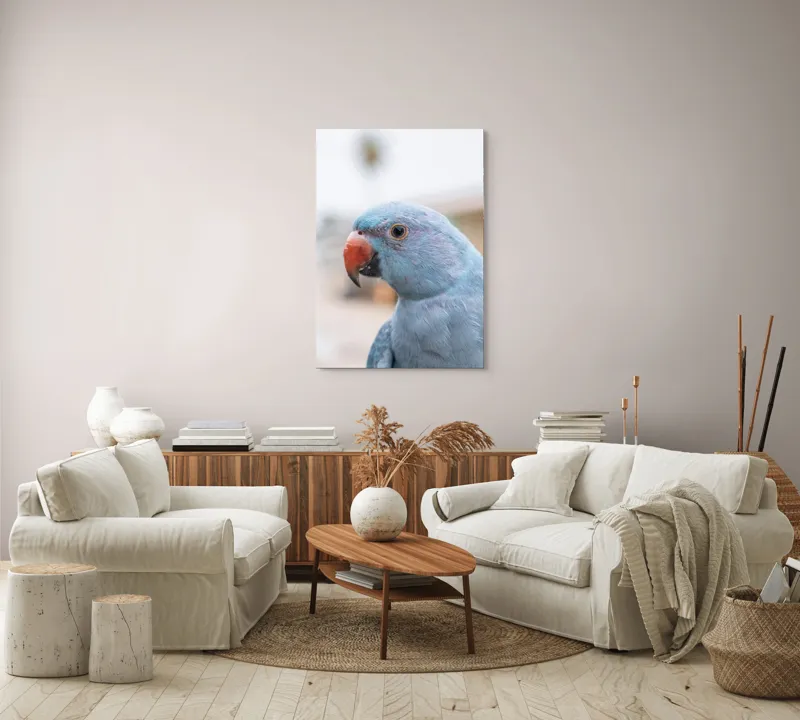 Tablou Canvas, "Papagalul albastru în lumina dimineții", Pasăre, Albastră, Cioc, Ochi, Penaj, Zâmbitoare, Aproape, Colorată, 70 x 100 cm – poza 4