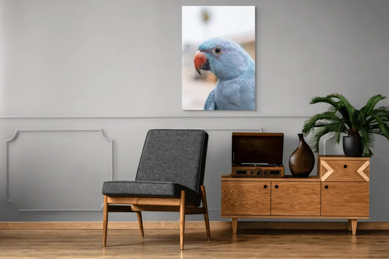 Tablou Canvas, "Papagalul albastru în lumina dimineții", Pasăre, Albastră, Cioc, Ochi, Penaj, Zâmbitoare, Aproape, Colorată, 70 x 100 cm – poza 6