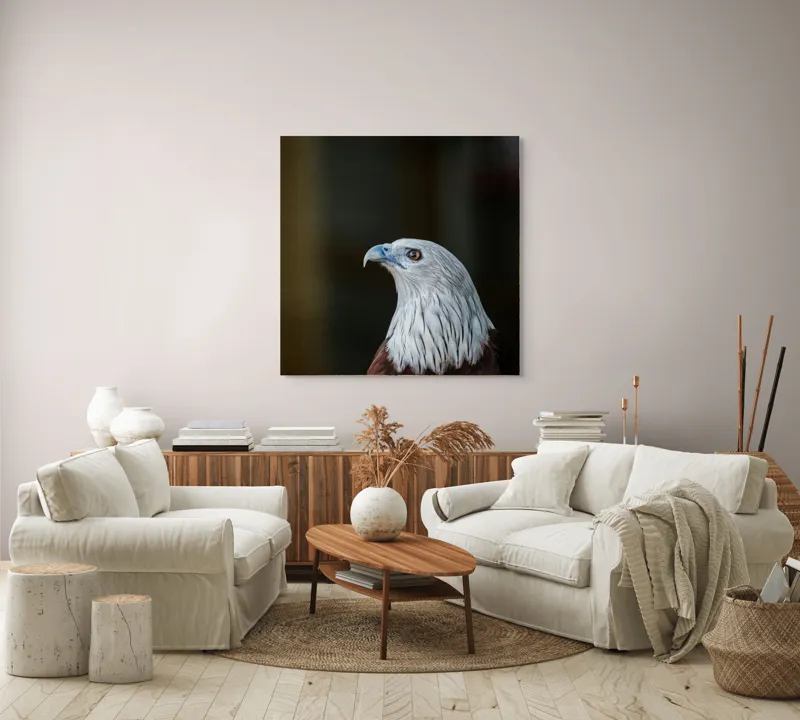 Tablou Canvas, "Vulturul privirii îndrăznețe în zare", Vultur, Majestic, Privire, Penaj, Contrast, Natura, Elegant, Fascinant, Contur, Imponător, 100 x 100 cm – poza 3