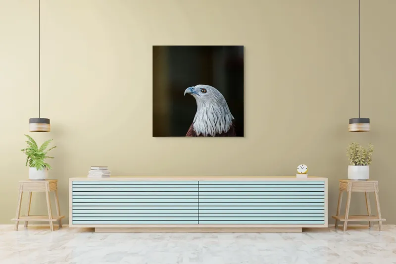Tablou Canvas, "Vulturul privirii îndrăznețe în zare", Vultur, Majestic, Privire, Penaj, Contrast, Natura, Elegant, Fascinant, Contur, Imponător, 100 x 100 cm – poza 5