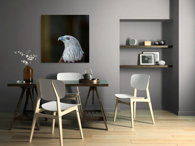 Tablou Canvas, "Vulturul privirii îndrăznețe în zare", Vultur, Majestic, Privire, Penaj, Contrast, Natura, Elegant, Fascinant, Contur, Imponător, 100 x 100 cm – poza 6