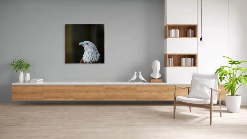 Tablou Canvas, "Vulturul privirii îndrăznețe în zare", Vultur, Majestic, Privire, Penaj, Contrast, Natura, Elegant, Fascinant, Contur, Imponător, 100 x 100 cm – poza 8