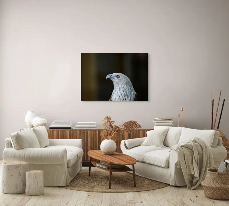 Tablou Canvas, "Vulturul privirii îndrăznețe în zare", Vultur, Majestic, Privire, Penaj, Contrast, Natura, Elegant, Fascinant, Contur, Imponător, 100 x 70 cm – poza 3
