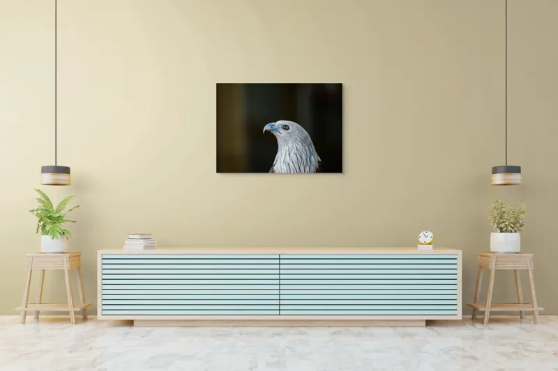 Tablou Canvas, "Vulturul privirii îndrăznețe în zare", Vultur, Majestic, Privire, Penaj, Contrast, Natura, Elegant, Fascinant, Contur, Imponător, 100 x 70 cm – poza 4