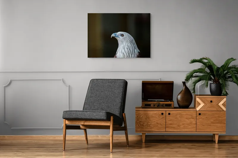 Tablou Canvas, "Vulturul privirii îndrăznețe în zare", Vultur, Majestic, Privire, Penaj, Contrast, Natura, Elegant, Fascinant, Contur, Imponător, 100 x 70 cm – poza 8