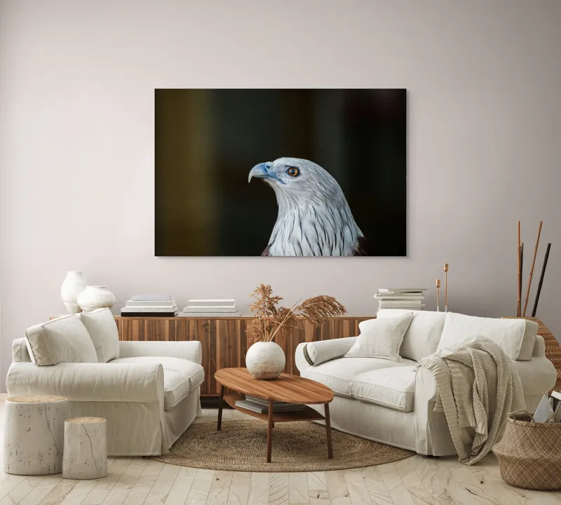 Tablou Canvas, "Vulturul privirii îndrăznețe în zare", Vultur, Majestic, Privire, Penaj, Contrast, Natura, Elegant, Fascinant, Contur, Imponător, 150 x 100 cm – poza 3
