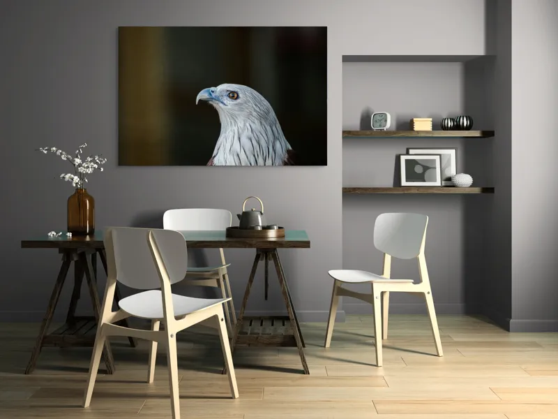 Tablou Canvas, "Vulturul privirii îndrăznețe în zare", Vultur, Majestic, Privire, Penaj, Contrast, Natura, Elegant, Fascinant, Contur, Imponător, 150 x 100 cm – poza 5