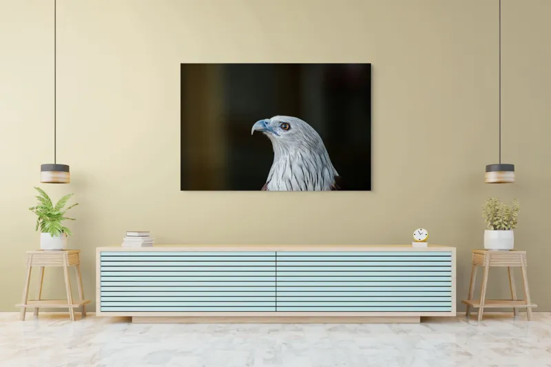 Tablou Canvas, "Vulturul privirii îndrăznețe în zare", Vultur, Majestic, Privire, Penaj, Contrast, Natura, Elegant, Fascinant, Contur, Imponător, 150 x 100 cm – poza 6
