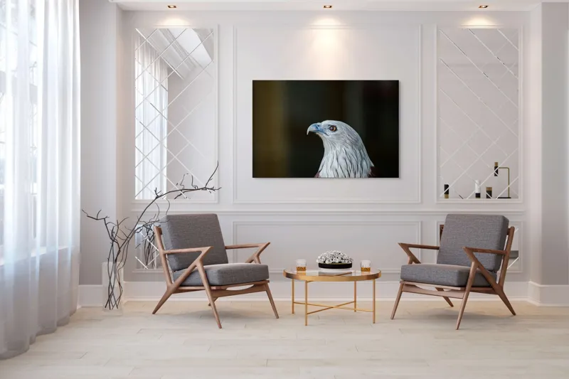 Tablou Canvas, "Vulturul privirii îndrăznețe în zare", Vultur, Majestic, Privire, Penaj, Contrast, Natura, Elegant, Fascinant, Contur, Imponător, 150 x 100 cm – poza 7