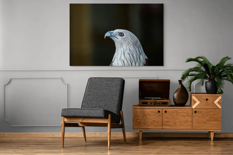 Tablou Canvas, "Vulturul privirii îndrăznețe în zare", Vultur, Majestic, Privire, Penaj, Contrast, Natura, Elegant, Fascinant, Contur, Imponător, 150 x 100 cm – poza 8