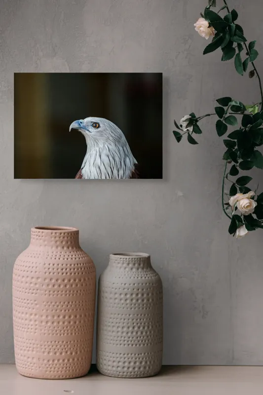 Tablou Canvas, "Vulturul privirii îndrăznețe în zare", Vultur, Majestic, Privire, Penaj, Contrast, Natura, Elegant, Fascinant, Contur, Imponător, 54 x 39 cm – poza 8