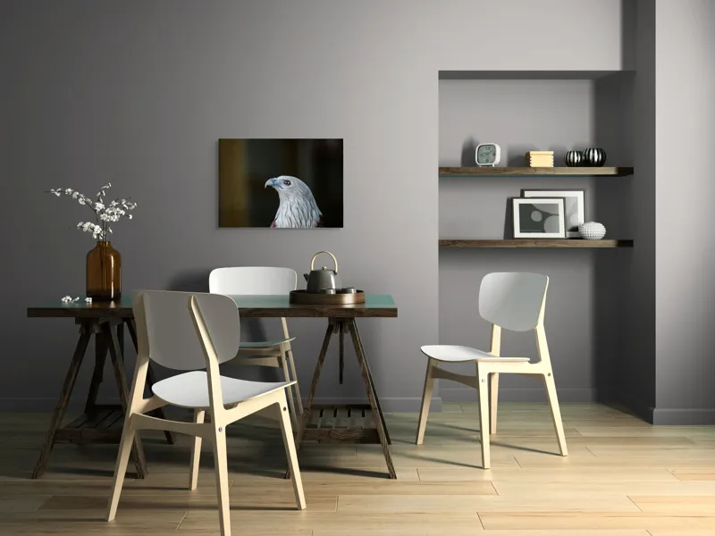 Tablou Canvas, "Vulturul privirii îndrăznețe în zare", Vultur, Majestic, Privire, Penaj, Contrast, Natura, Elegant, Fascinant, Contur, Imponător, 70 x 50 cm – poza 5