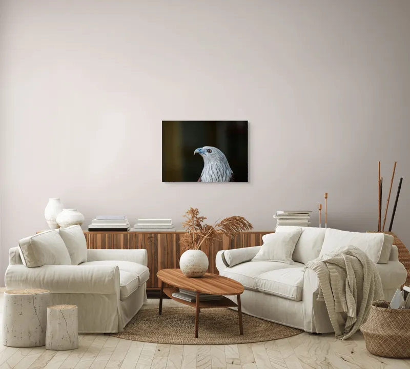 Tablou Canvas, "Vulturul privirii îndrăznețe în zare", Vultur, Majestic, Privire, Penaj, Contrast, Natura, Elegant, Fascinant, Contur, Imponător, 70 x 50 cm – poza 6