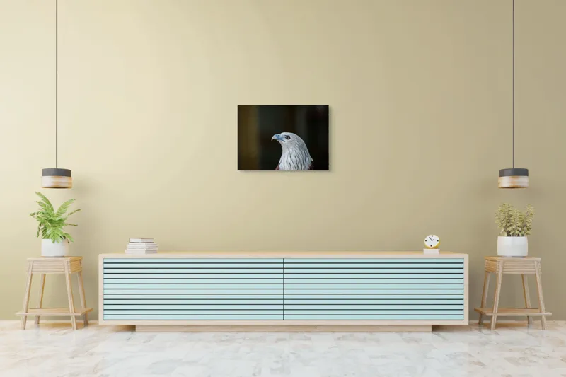 Tablou Canvas, "Vulturul privirii îndrăznețe în zare", Vultur, Majestic, Privire, Penaj, Contrast, Natura, Elegant, Fascinant, Contur, Imponător, 70 x 50 cm – poza 7