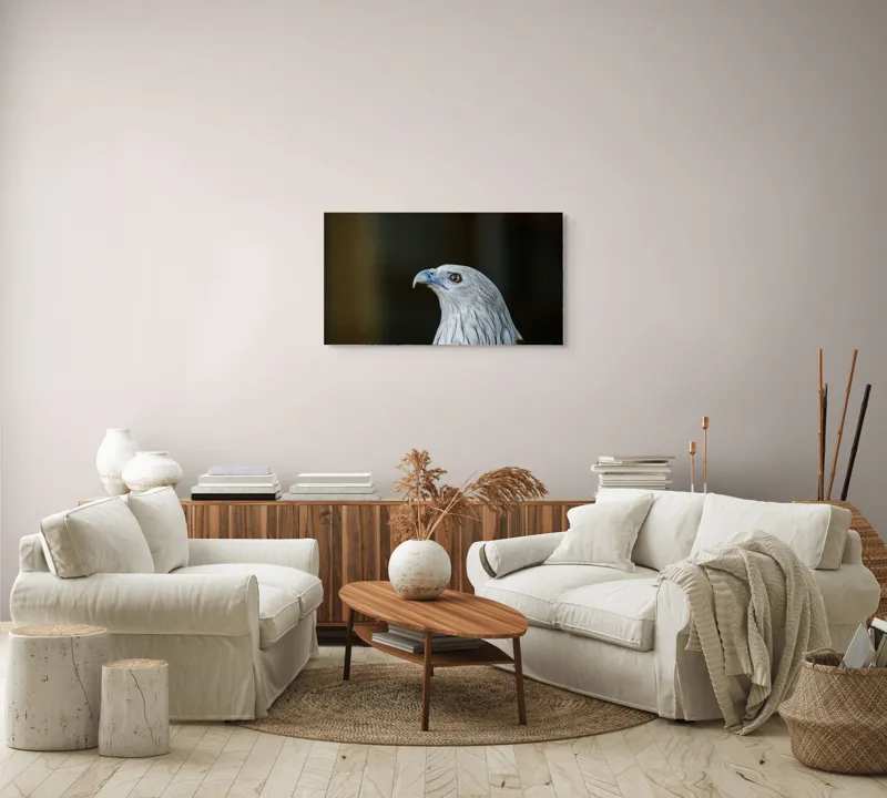 Tablou Canvas, "Vulturul privirii îndrăznețe în zare", Vultur, Majestic, Privire, Penaj, Contrast, Natura, Elegant, Fascinant, Contur, Imponător, 90 x 50 cm – poza 4
