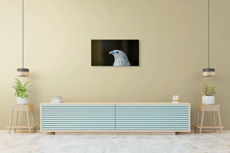 Tablou Canvas, "Vulturul privirii îndrăznețe în zare", Vultur, Majestic, Privire, Penaj, Contrast, Natura, Elegant, Fascinant, Contur, Imponător, 90 x 50 cm – poza 5