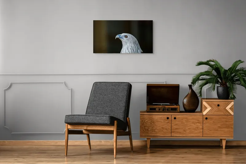 Tablou Canvas, "Vulturul privirii îndrăznețe în zare", Vultur, Majestic, Privire, Penaj, Contrast, Natura, Elegant, Fascinant, Contur, Imponător, 90 x 50 cm – poza 6