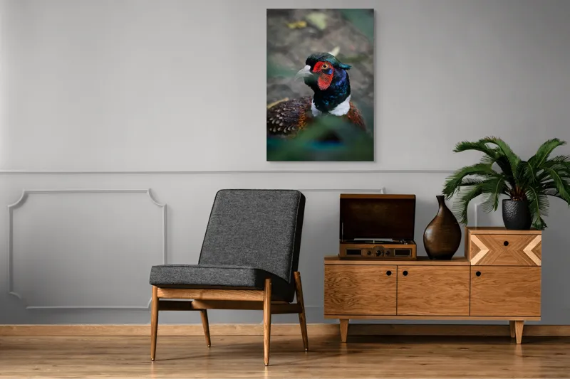 Tablou Canvas, "Pesajul fermecat al pădurii misterioase", Pasăre, Colorată, Eleganță, Natură, Privire, Penaj, Contrast, Frumusețe, 70 x 100 cm – poza 6