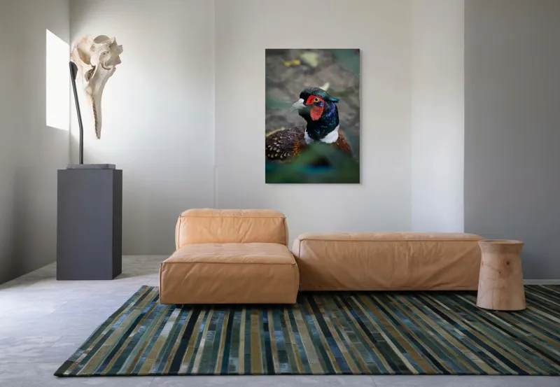 Tablou Canvas, "Pesajul fermecat al pădurii misterioase", Pasăre, Colorată, Eleganță, Natură, Privire, Penaj, Contrast, Frumusețe, 70 x 100 cm – poza 7