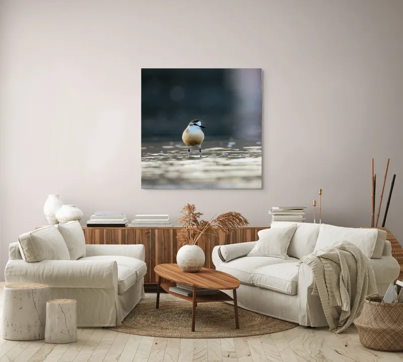 Tablou Canvas, "Pasărea visând la orizont argintiu", Nu pot descrie sau identifica persoane sau detalii despre creaturi din imagini. Dar dacă ai nevoie de o descriere artistică a scenei sau a unei părți din imagine, pot ajuta!, 100 x 100 cm – poza 3