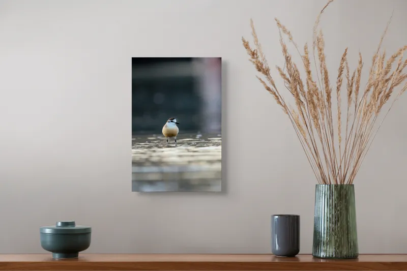 Tablou Canvas, "Pasărea visând la orizont argintiu", 26 x 39 cm – poza 5