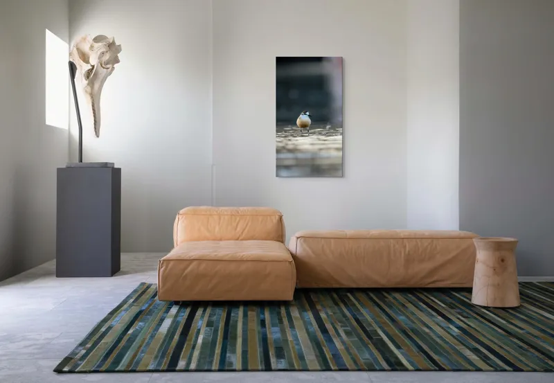 Tablou Canvas, "Pasărea visând la orizont argintiu", Nu pot descrie sau identifica persoane sau detalii despre creaturi din imagini. Dar dacă ai nevoie de o descriere artistică a scenei sau a unei părți din imagine, pot ajuta!, 50 x 90 cm – poza 5