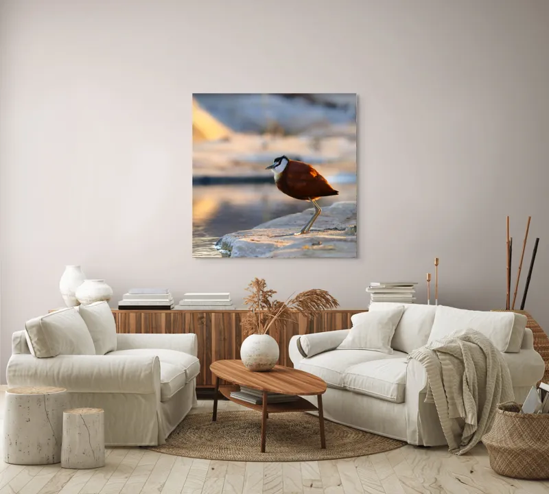 Tablou Canvas, "Păsărea solitară la apus de soare", Pasăre, Lac, Penaj, Apus, Stâncă, Reflecție, Natură, Serenitate, 100 x 100 cm – poza 3