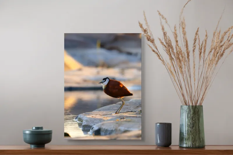 Tablou Canvas, "Păsărea solitară la apus de soare", Pasăre, Lac, Penaj, Apus, Stâncă, Reflecție, Natură, Serenitate, 39 x 54 cm – poza 3