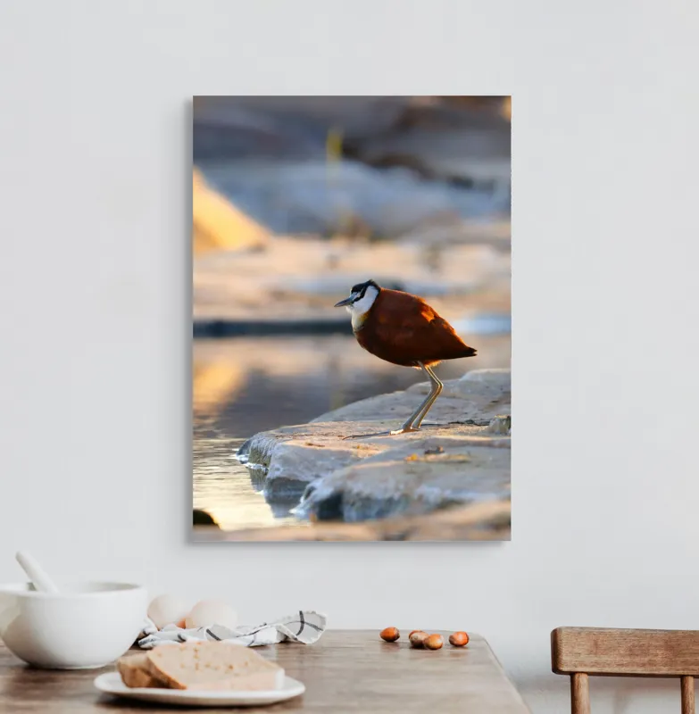 Tablou Canvas, "Păsărea solitară la apus de soare", Pasăre, Lac, Penaj, Apus, Stâncă, Reflecție, Natură, Serenitate, 50 x 70 cm – poza 3