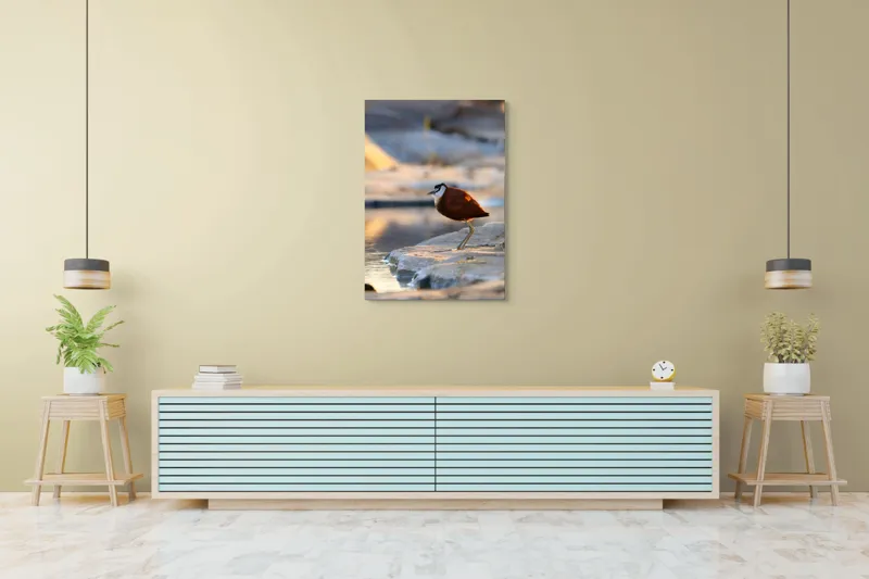 Tablou Canvas, "Păsărea solitară la apus de soare", Pasăre, Lac, Penaj, Apus, Stâncă, Reflecție, Natură, Serenitate, 70 x 100 cm – poza 5