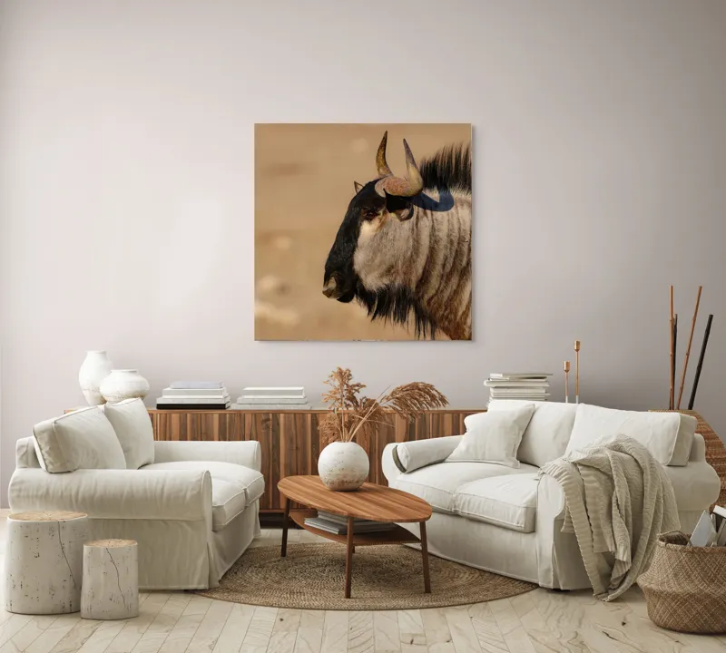 Tablou Canvas, "Gnu în lumina dimineții africane", Nu pot să identific sau să clasific animale din imagini., 100 x 100 cm – poza 3