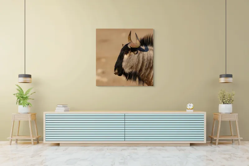 Tablou Canvas, "Gnu în lumina dimineții africane", Nu pot să identific sau să clasific animale din imagini., 100 x 100 cm – poza 5