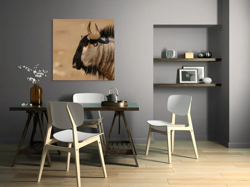 Tablou Canvas, "Gnu în lumina dimineții africane", Nu pot să identific sau să clasific animale din imagini., 100 x 100 cm – poza 6