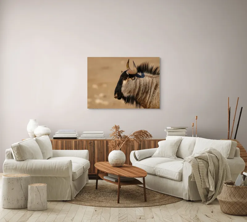 Tablou Canvas, "Gnu în lumina dimineții africane", Nu pot să identific sau să clasific animale din imagini., 100 x 70 cm – poza 3