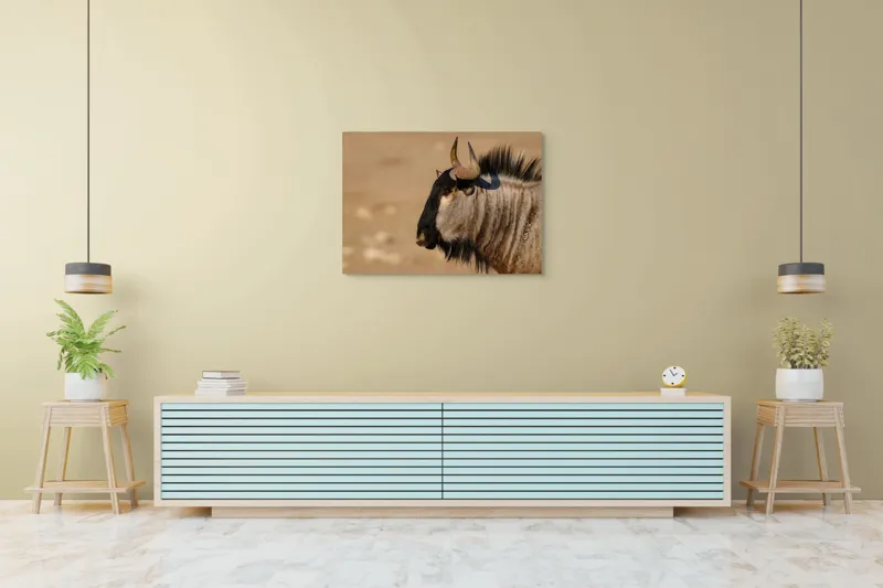 Tablou Canvas, "Gnu în lumina dimineții africane", Nu pot să identific sau să clasific animale din imagini., 100 x 70 cm – poza 4